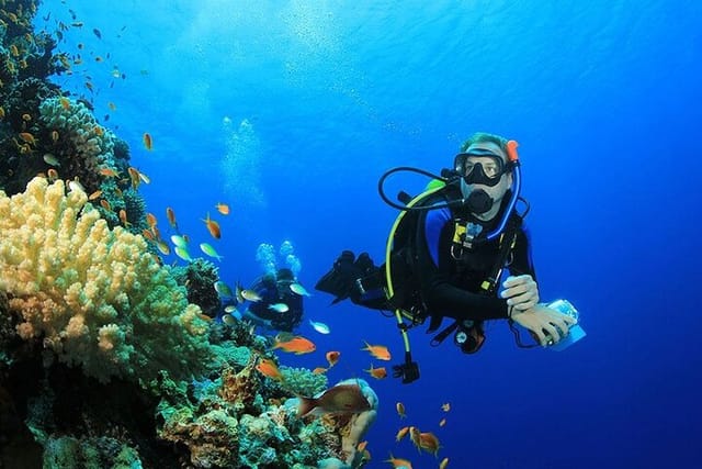 SCUBA DIVING TRIP FROM HURGHADA